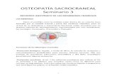 OSTEOPATÍA SACROCRANEAL -SEMINARIO-3