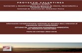 Valoracion Economica Ambiental_Proyecto Aratiri