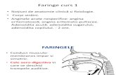 Faringe Curs 1