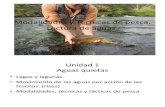 Modalidades y Técnicas de pesca.ppt