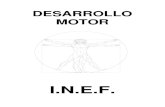 DESARROLLO MOTOR.pdf