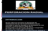 EXPOCICION DE PERFORACION RADIAL PERFO 3.pptx