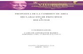 Propuesta Declaración de Principios y Estatutos