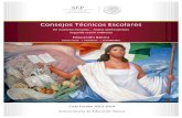 Guia Consejos Técnicos Escolares..pdf