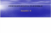 Sesion - 9 - Presupuesto Flexible