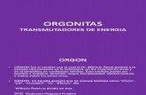 ORGONITAS 1