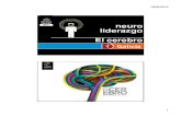 Neuroliderazgo Galicia2013- COMPLETO