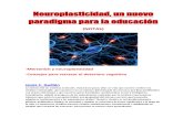 Neuroplasticidad (NOTAS)