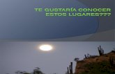 Conozca Los Cactus y La Barranca de Metztitlan Hidalgo Mexico