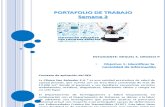 PORTAFOLIO DE TRABAJO SEMANA 2 - INNOVACIÓN EDUCATIVA CON REA - MIGUEL S OROZCO P