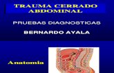 Norma - Trauma Cerrado Abdominal - Dr Ayala
