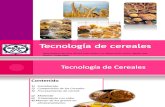 Tecnologia de Los Cereales