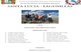 Informe de Lagunillas