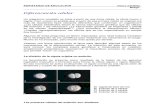 6-3S-Diferenciación celular.pdf