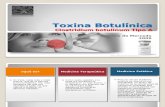 Toxina Botulínica pp07