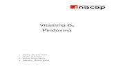 Informe Vitamina B6