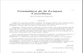 (ebook) real academia española-gramatica de la lengua castellana
