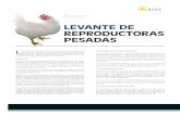 1 Levante de reproductoras pesadas.pdf