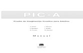 PIC-A_Manual_extracto book.pdf