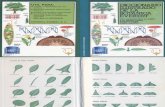 Plantas - Diccionario Ilustrado de La Botanica