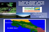 Apuesta territorial por la conservación en Monteverde (Costa Rica)