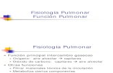 Fisiología - Funcion Pulmonar