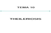 Tema10 THEILERIOSIS