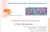 Entamoeba Histoytica