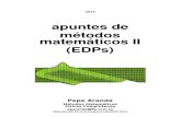 Apuntes Metodos Matematicos II 2013