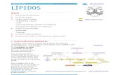 LÍPIDOS APUNTES.pdf