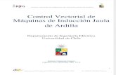 Control Vectorial de Máquinas de Inducción Jaula de Ardilla by Roberto Cárdenas D.