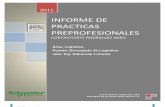 Informe de Practicas Preprofesionales Jairo Cortavitarte