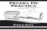 Prueba de Práctica_Español G3_1-24-11