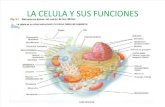 2 Fisiologia de La La Celula y Su Funcion Capitulo 2 de Libro de Gayton