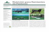 40781129 Nutricion Para Rumiantes en Pastoreo