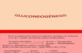 2.2.2.6 Gluconeogénesis
