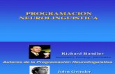 Programacion Neurolinguistica 2