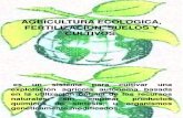 Agricultura Ecologica, Fertilizacion, Suelos y Cultivos