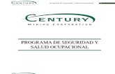 Programa de Seguridad y Salud Ocupacional - Sergio Jara Valdez