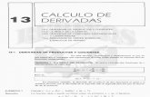02xcap_13_calculo de Derivadas