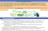 Ecología de ecosistemas