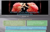 Cor Pulmonale Cronico 12