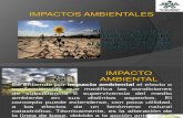 IMPACTOS AMBIENTALES1