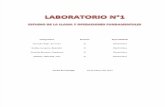 Lab 1y2 Quimica