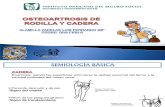Osteoartrosis de Rodilla y Cadera Def.