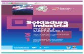 Guia Formativa. Soldadura Industrial 31. CECyTEH, Gobierno de Hidalgo