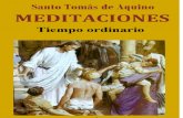 Meditaciones para el tiempo ordinario, Santo Tomás de Aquino