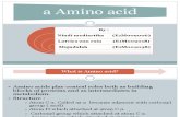 Presentase a Amino Acid