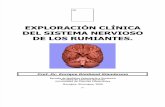 Exploracion Clinica Del Sn de Los Rumiantes