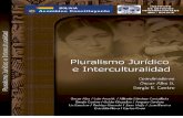 Alba y Castro - 2008 - Pluralismo jurídico e interculturalidad